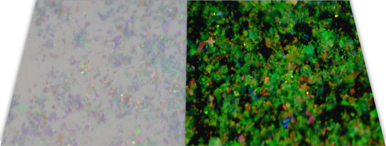 TS-11 Optically variable pigment/ink Orange Red-Yellow Green 200-300μm-HiBlueStar